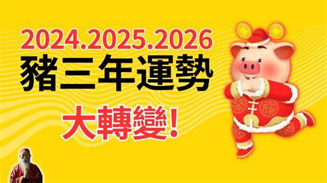 屬豬幸運色2024|【屬豬幸運色】屬豬者專屬幸運色！2024豬年最強運勢指南